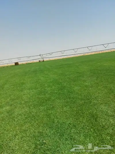 ثيل C200 درجه اولى 0