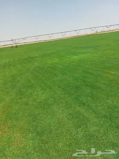 ثيل C200 درجه اولى 3