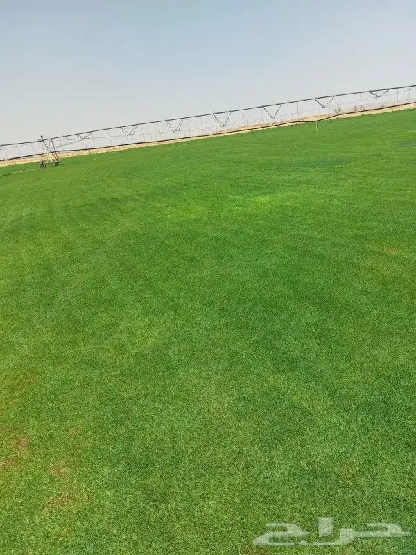 ثيل C200 درجه اولى 3