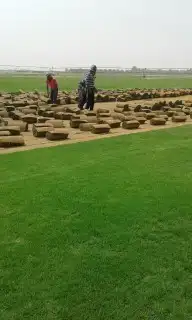 تنسيق حدائق ثيل طبيعي c2000 4