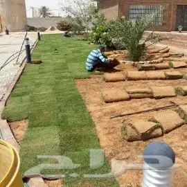 تنسيق حدائق ثيل طبيعي c2000 7