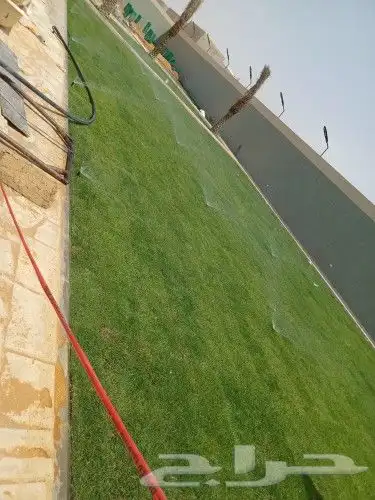 تنسيق حدائق ثيل طبيعي c2000 12