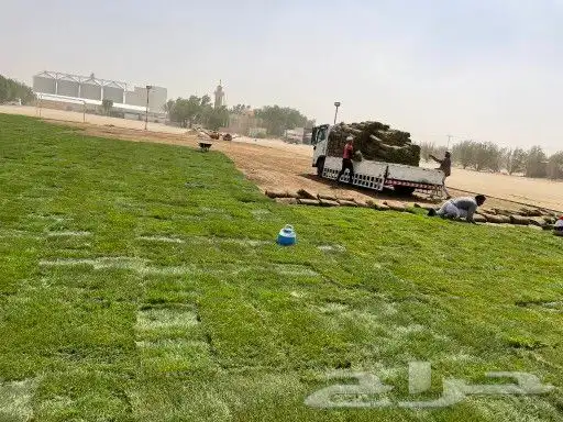 تنسيق حدائق ثيل طبيعي c2000 5