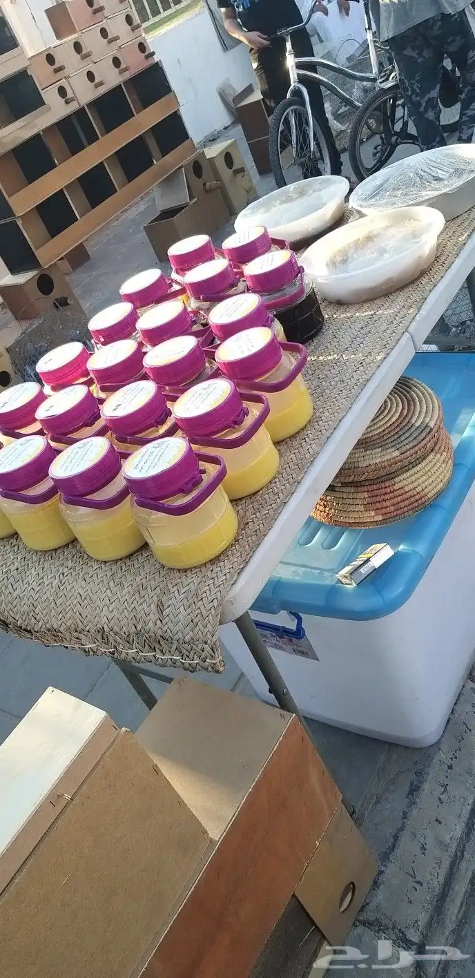 سمن غنم سمن بقر سمن سنام الأبل زمن أيام الطيبين 1
