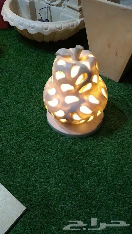 نجيله وديكورات مضيئه 0560996029 5