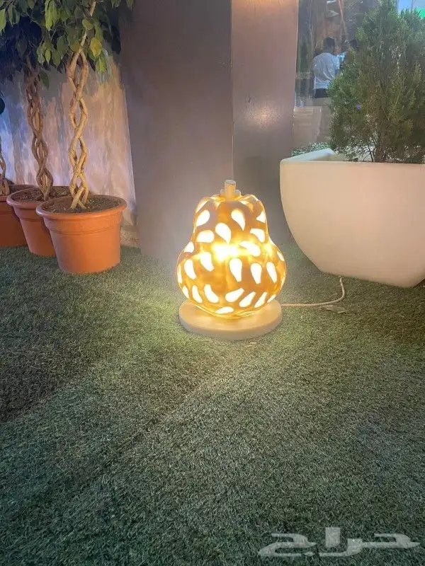 نجيله وديكورات مضيئه 0560996029 10