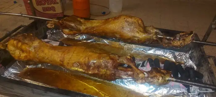 مطعم الخير يقدم خروف سيخ على الجمر 13
