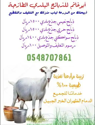 ذبائح نعيمي سواكني تيوس مزارعنا 1