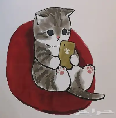 BEauty Cat لخدمة الحيوانات الأليفة 2