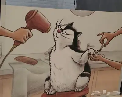 BEauty Cat لخدمة الحيوانات الأليفة 0