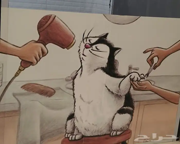 BEauty Cat لخدمة الحيوانات الأليفة 0