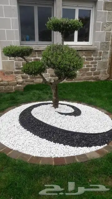 مشتل زراعة لجميع انواع الأشجار والشللات 45