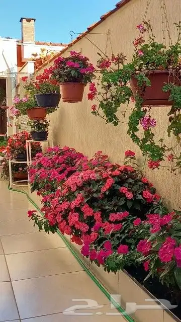 مشتل زراعة لجميع انواع الأشجار والشللات 30