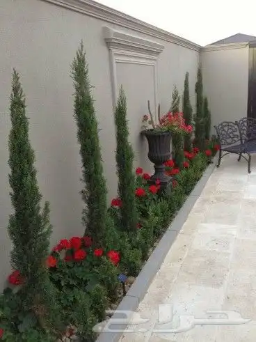 مشتل زراعة لجميع انواع الأشجار والشللات 40