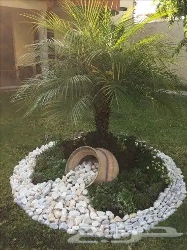 مشتل زراعة لجميع انواع الأشجار والشللات 25