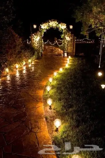 مشتل زراعة لجميع انواع الأشجار والشللات 20