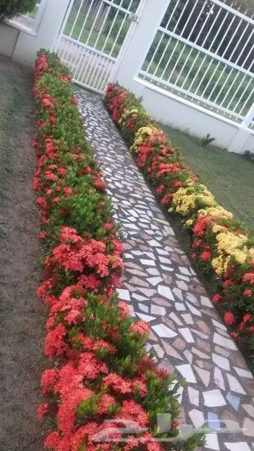 مشتل زراعة لجميع انواع الأشجار والشللات 18