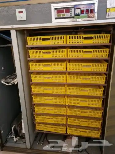 فقاسات نتافات مع هدايا وضمان وشحن مجاني 3