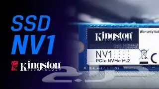 هاردسك كنجستون SSD M.2 Nvme 1TBا - 100تقييم 3