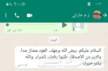 عود اندونيسي طيب خاص 7