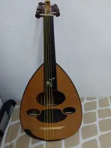 عود زرياب موديل عرارقم 3 الأكثر مبيعا للبيع 6