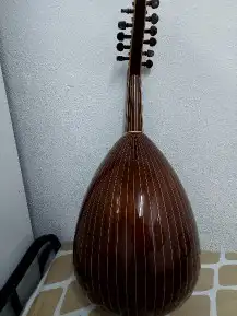 عود زرياب موديل عرارقم 3 الأكثر مبيعا للبيع 8