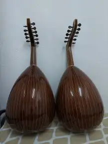 عود زرياب موديل عرارقم 3 الأكثر مبيعا للبيع 5