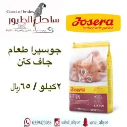 مستلزمات واغراض اكل رويال ميوماكس بيوت قطط 63