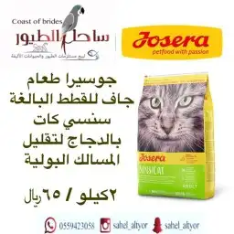 مستلزمات واغراض اكل رويال ميوماكس بيوت قطط 49