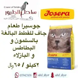 مستلزمات واغراض اكل رويال ميوماكس بيوت قطط 61