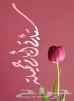 معلم خط عربي وخطاط 5