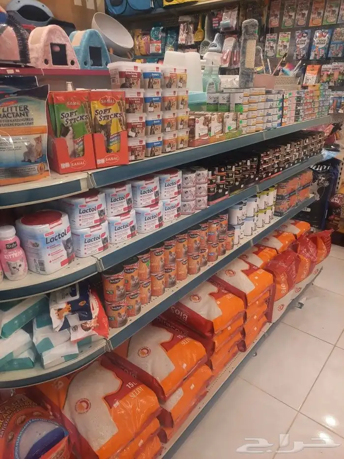 مستلزمات واغراض اكل رويال ميوماكس بيوت قطط 10