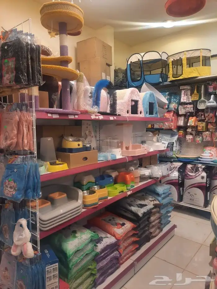 مستلزمات واغراض اكل رويال ميوماكس بيوت قطط 3