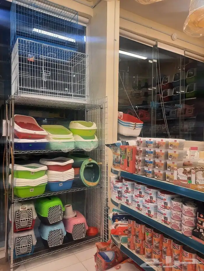 مستلزمات واغراض اكل رويال ميوماكس بيوت قطط 6