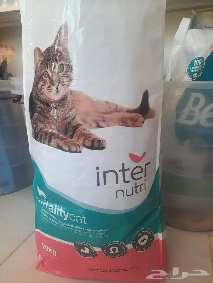 مستلزمات واغراض اكل رويال ميوماكس بيوت قطط 20