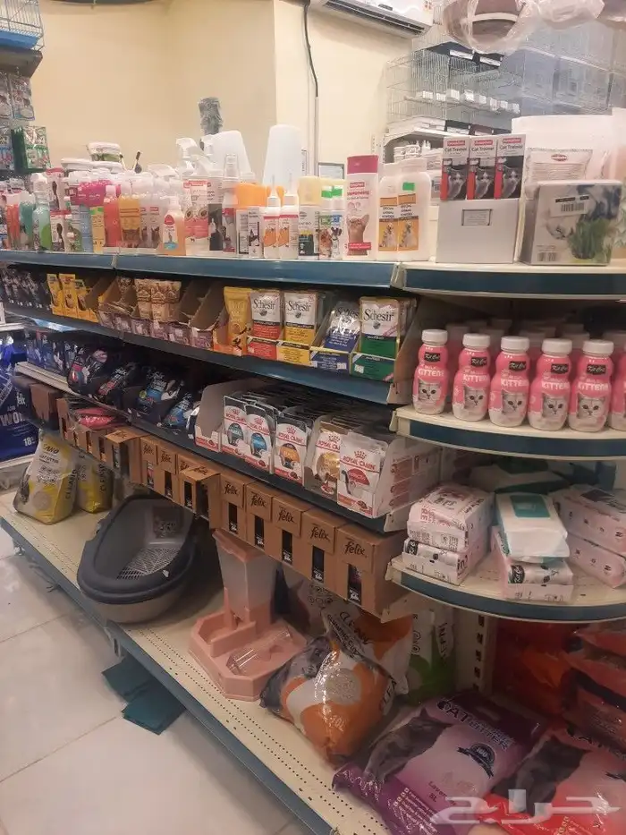 مستلزمات واغراض اكل رويال ميوماكس بيوت قطط 8