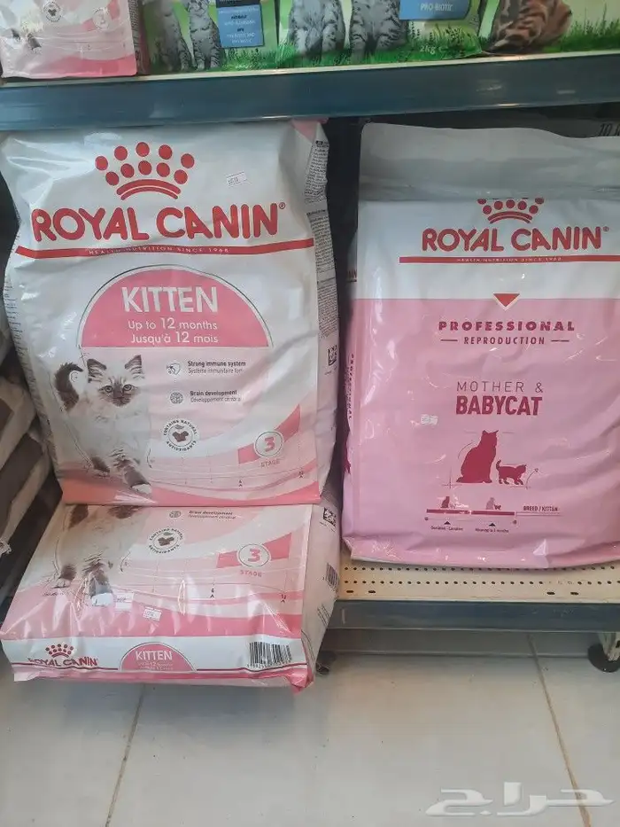 مستلزمات واغراض اكل رويال ميوماكس بيوت قطط 28