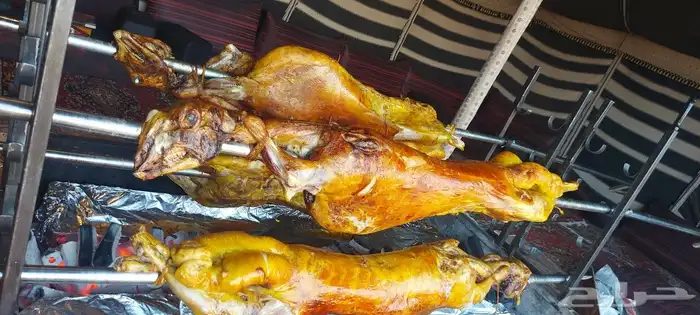 خروف مشوي على الجمر 19