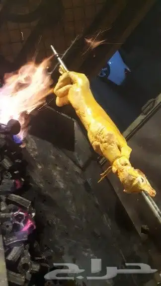 خروف مشوي على الجمر 14