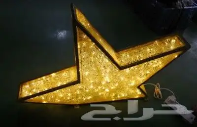 مجسمات مضيئة 10