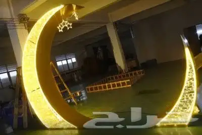 مجسمات مضيئة 13