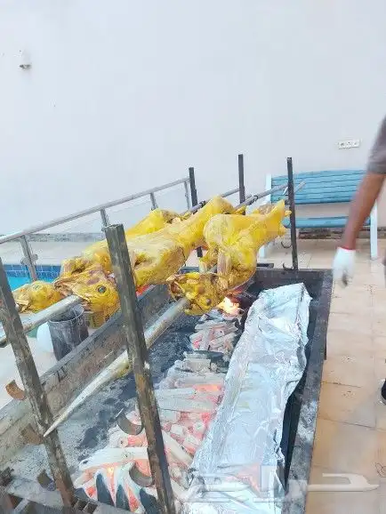 خروف مشوي على الجمر 22