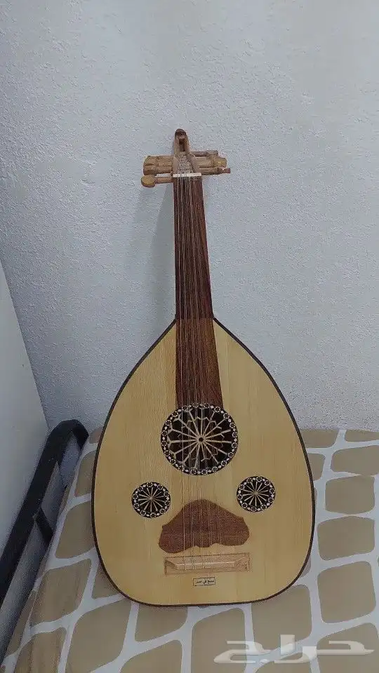 جميع انواع الآلات الموسيقية عود تعليمي جيتار 0
