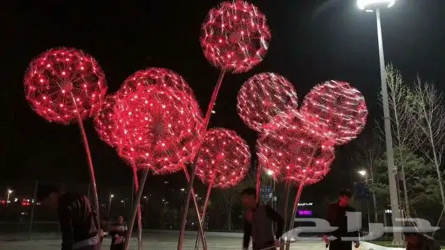 مجسمات مضيئة 29