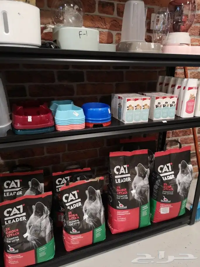 خدمات القطط cat 6