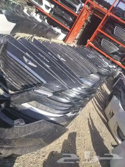 تشليح الومضة الامعة اختصاصي جينسس 20