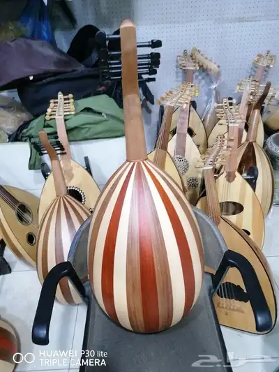 عود بحريني 3