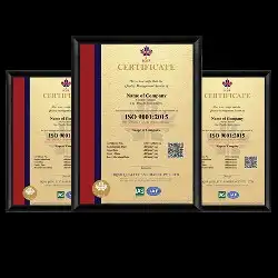 منح شهادات الايزو المقبولة لدي المؤسسات الحكومية 3