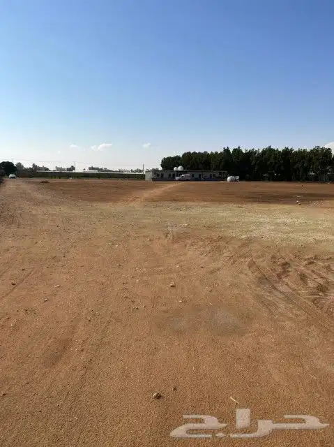 مزرعه الخرج الضبيعه الدلم الرياض 9