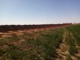 بلدوزرات للاجار 0